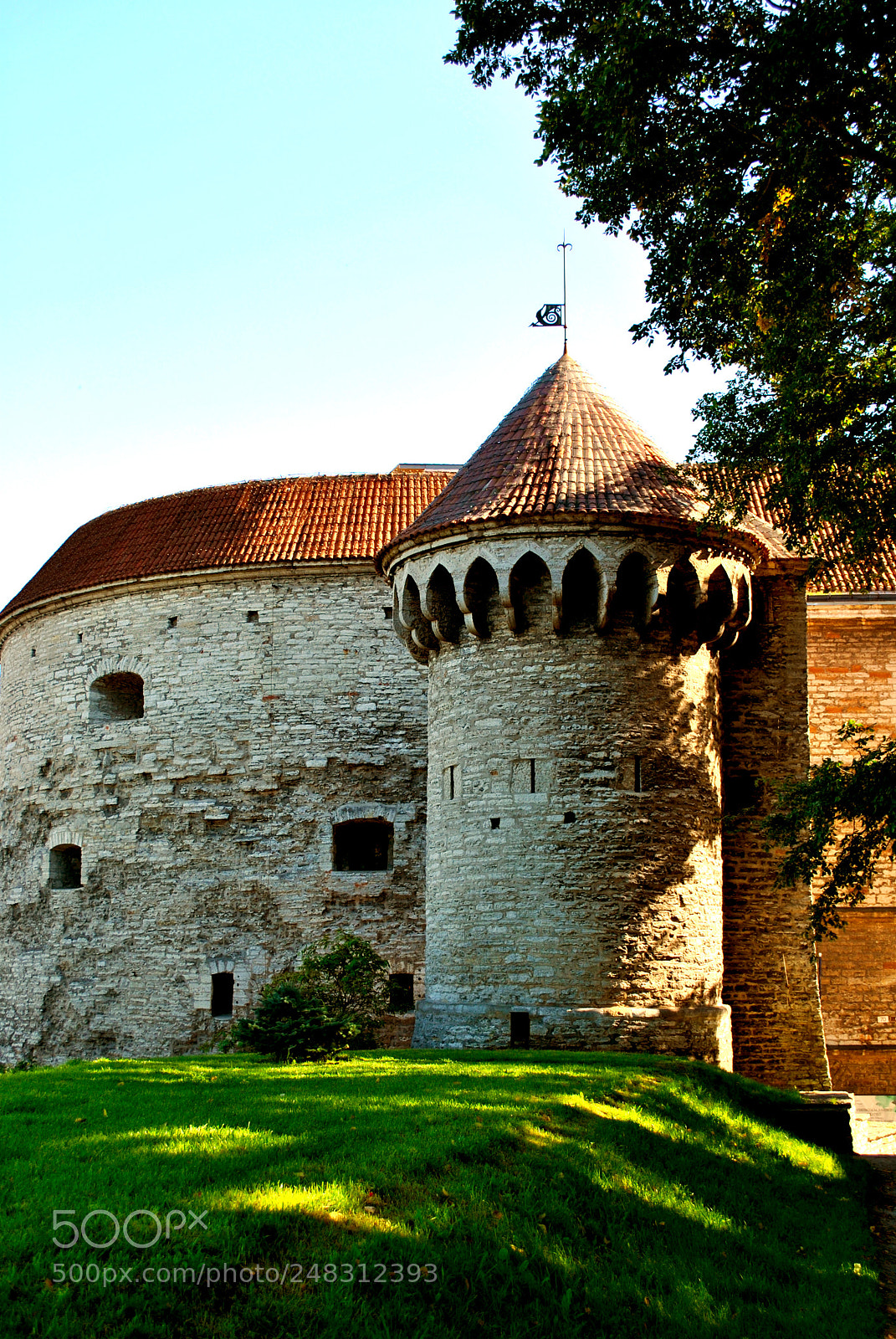 Nikon D3000 sample photo. Tallinn views photography