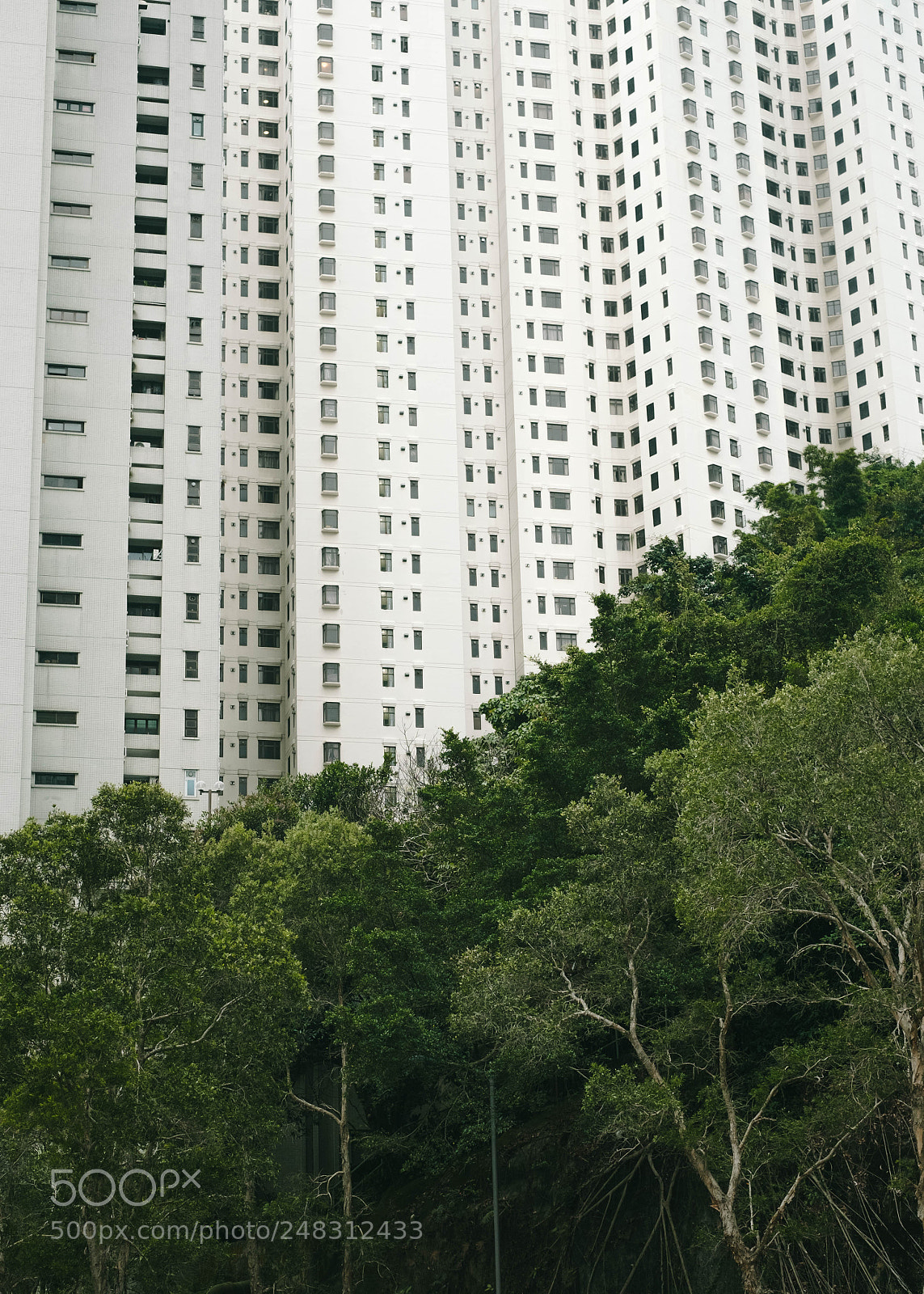 Fujifilm X-T1 sample photo. Hong kong photography