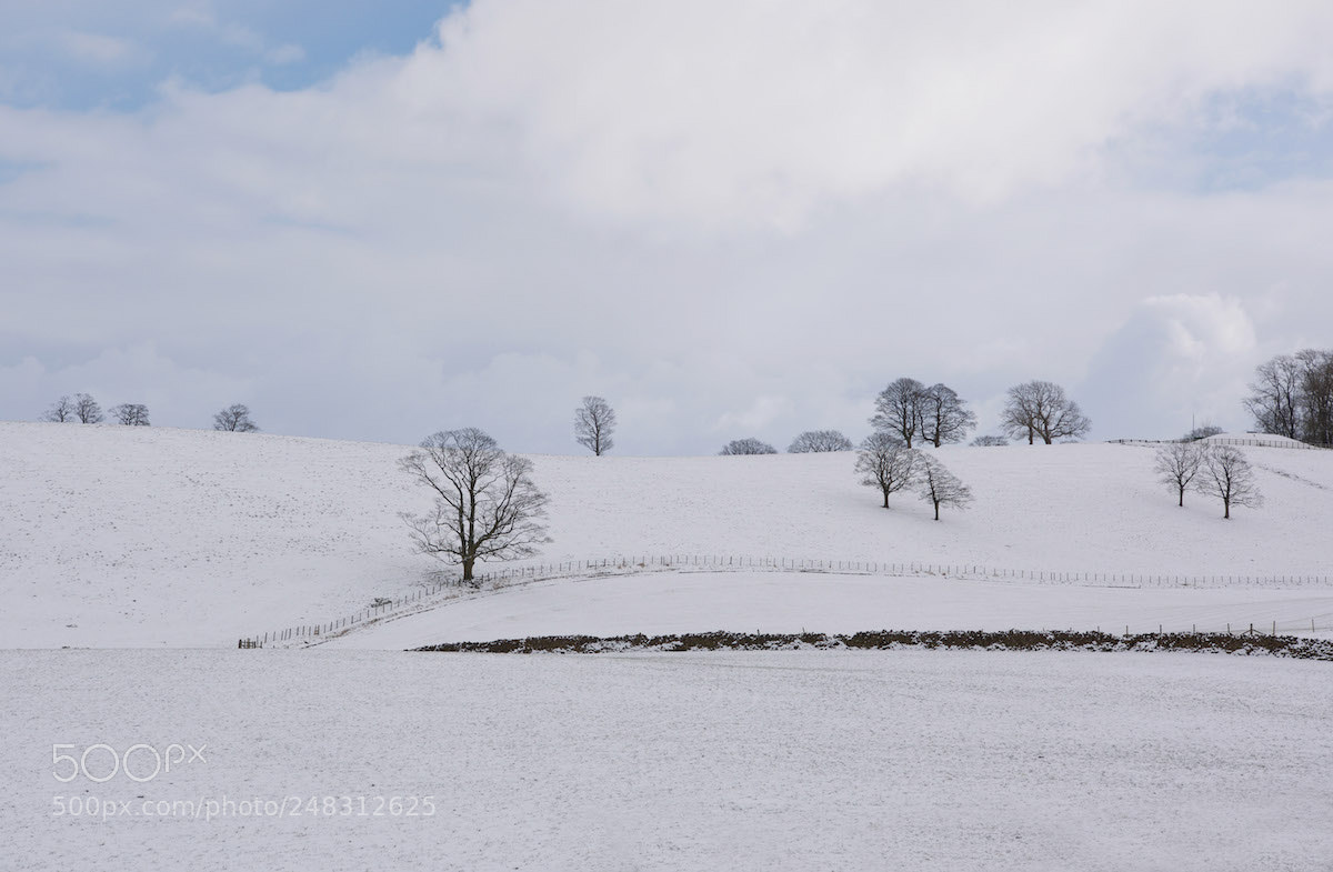 Nikon D810 sample photo. Yorkshire snow photography