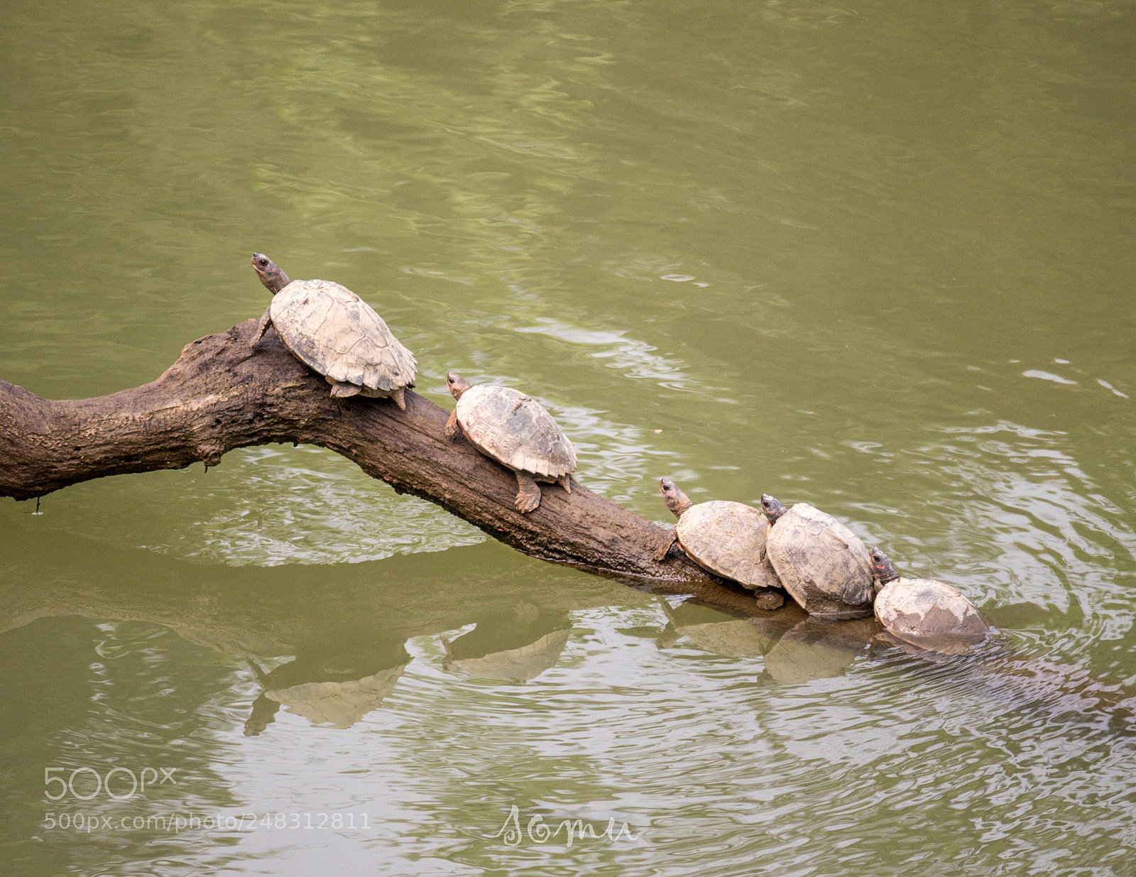 Canon EOS 700D (EOS Rebel T5i / EOS Kiss X7i) sample photo. Untitled photography