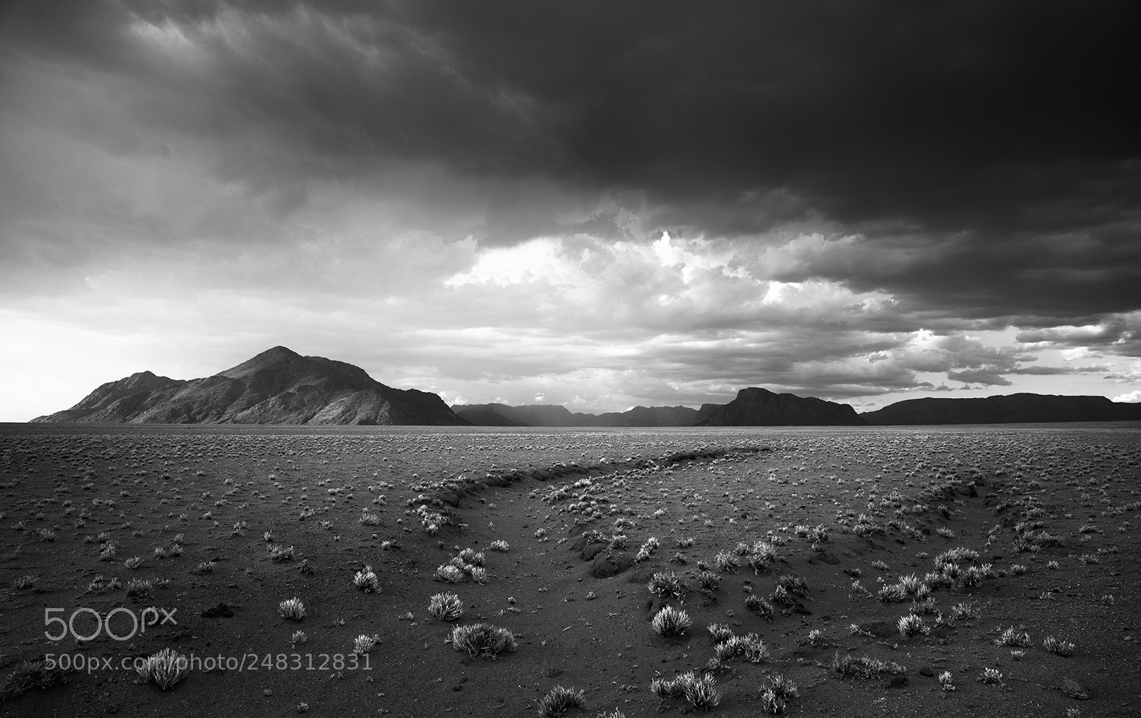 Sony a7R sample photo. Horseshoe photography