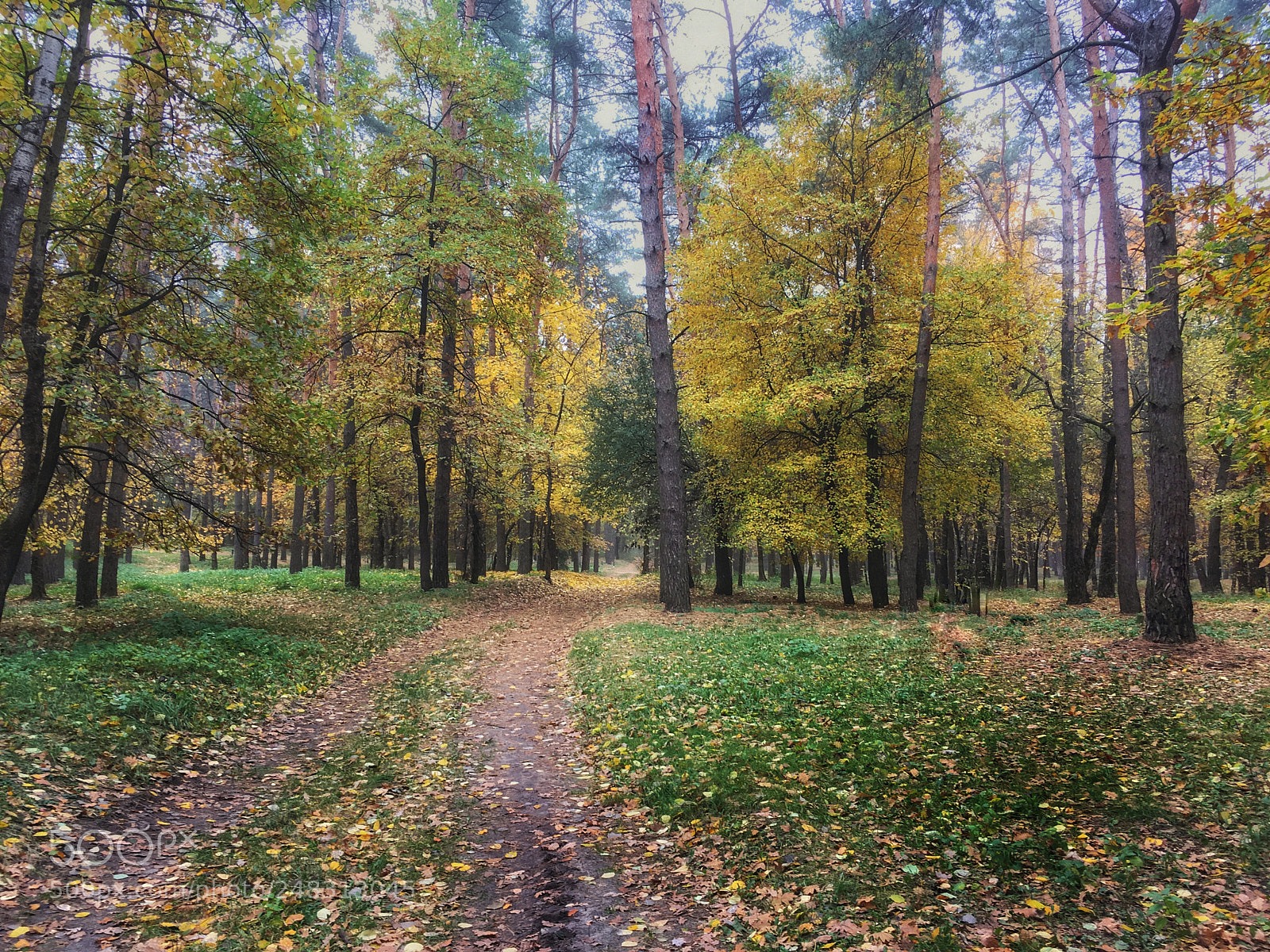 Apple iPhone SE sample photo. Landscape photography