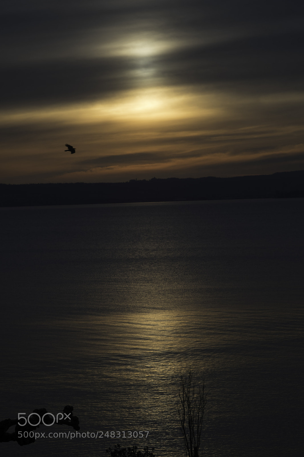 Fujifilm X-T1 sample photo. But an emotion photography