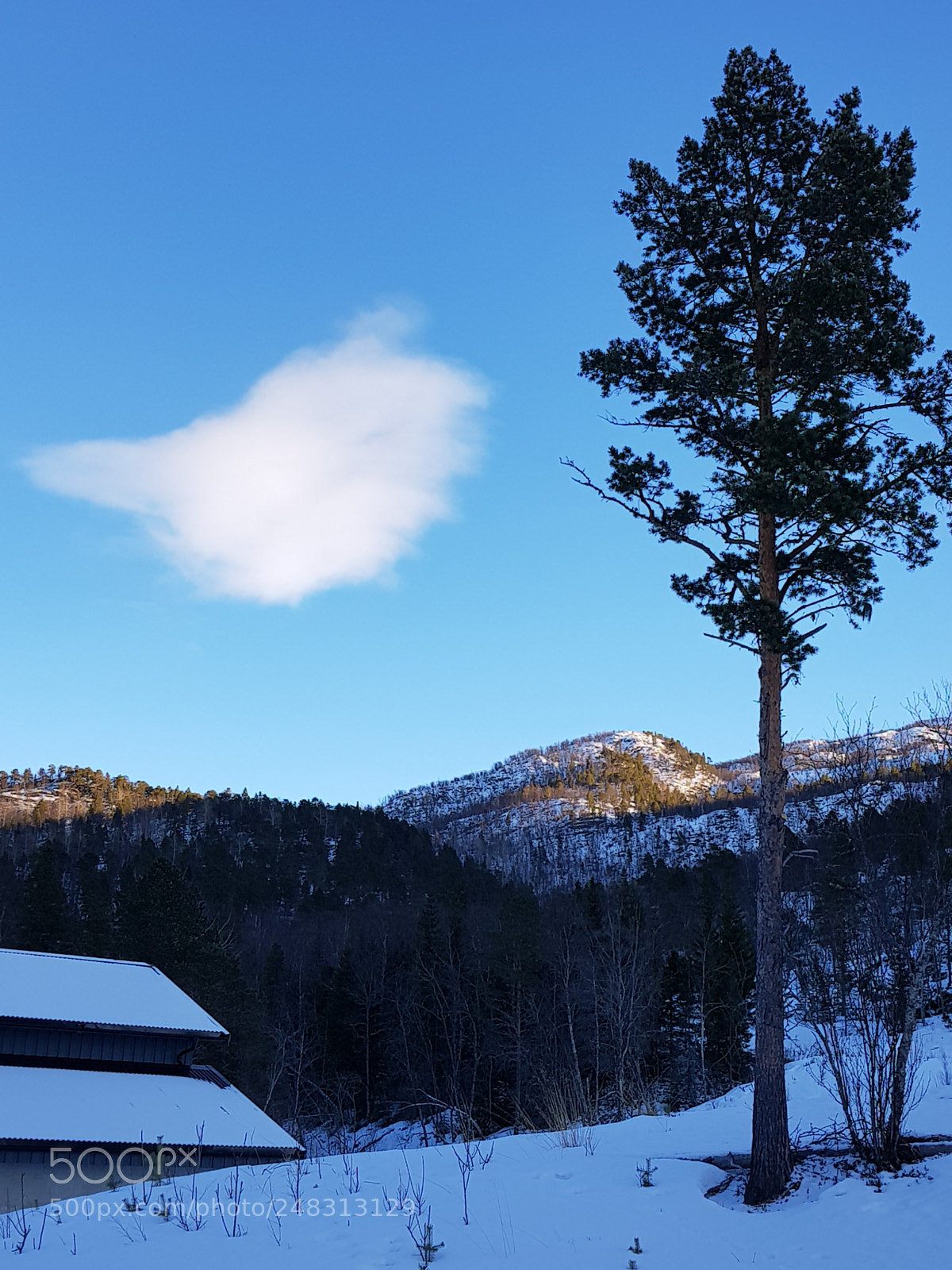 Samsung Galaxy S8 sample photo. A lonely cloud photography