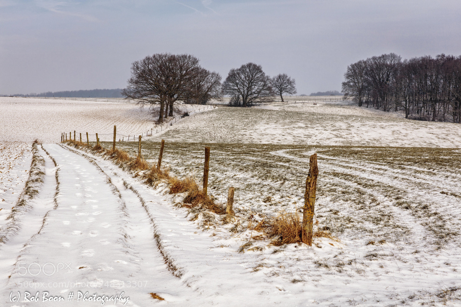 Canon EOS 5DS sample photo. Winter @ berghöf 1 photography