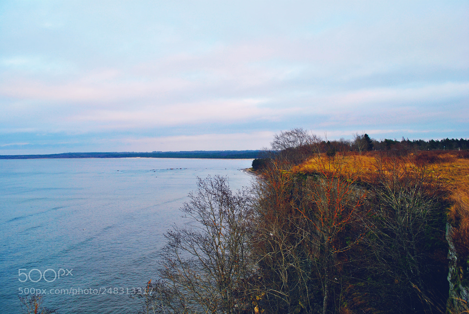 Nikon D3000 sample photo. Tallinn forests and nature photography