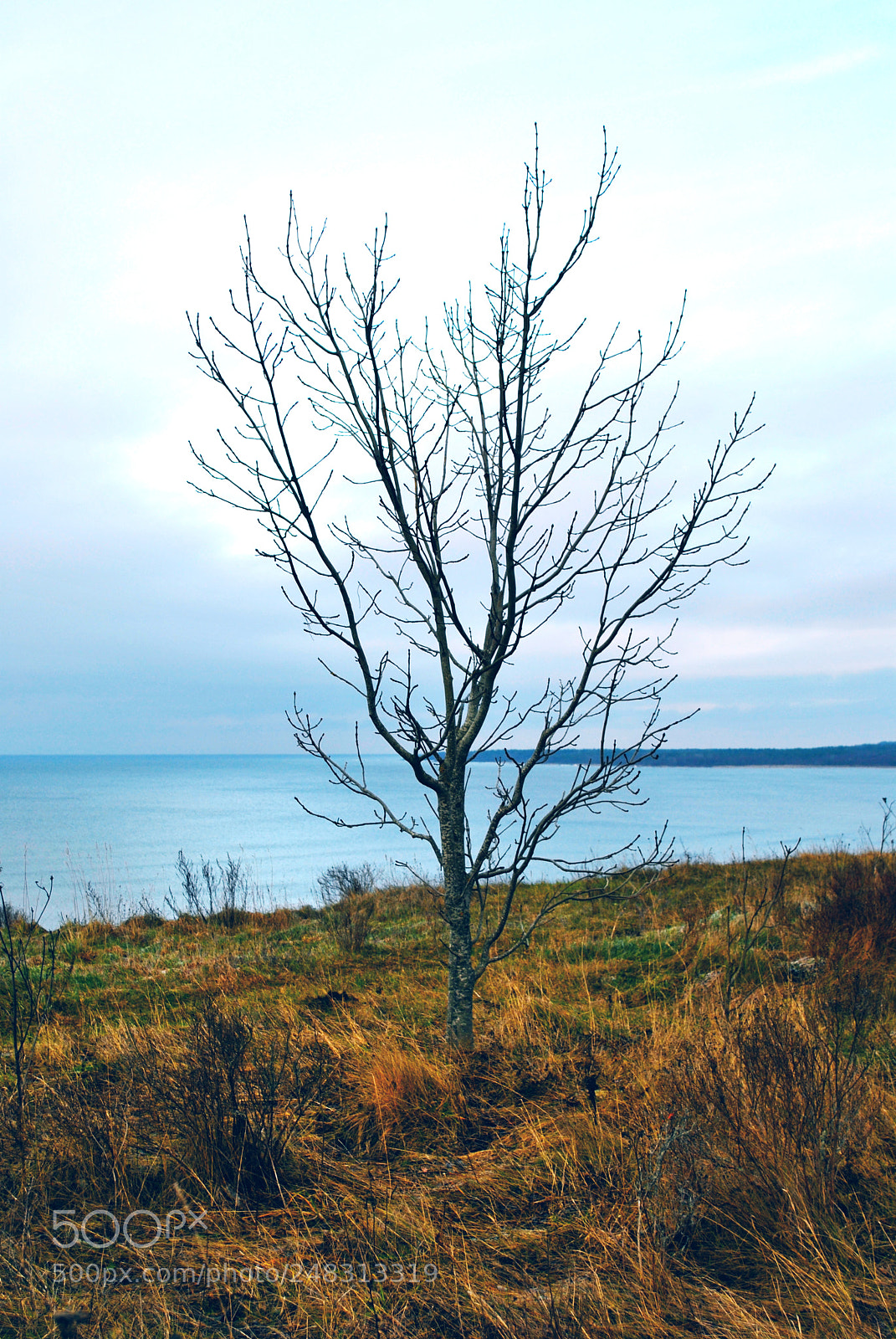 Nikon D3000 sample photo. Tallinn forests and nature photography