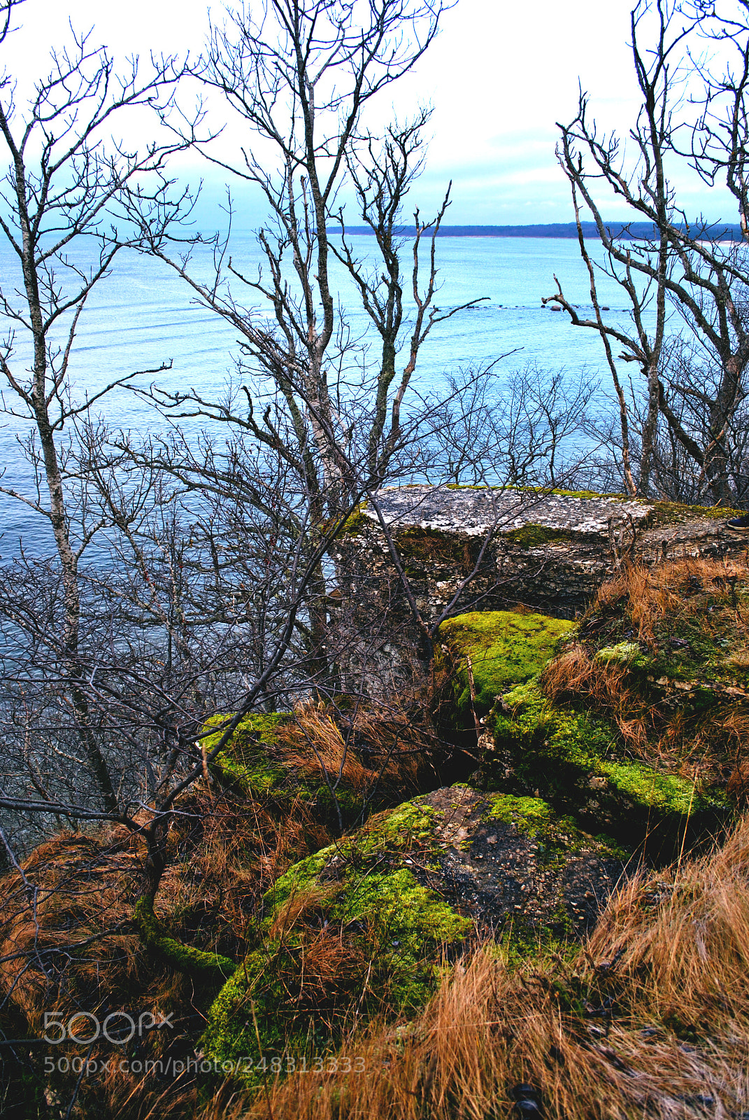 Nikon D3000 sample photo. Tallinn forests and nature photography