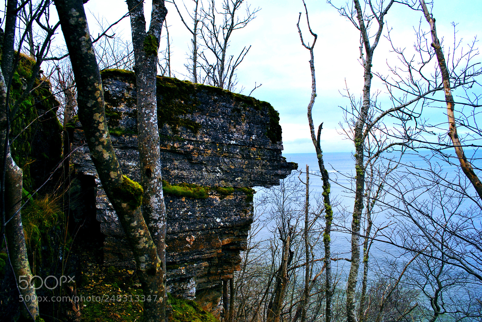 Nikon D3000 sample photo. Tallinn forests and nature photography
