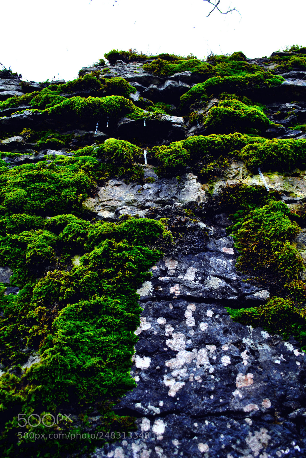 Nikon D3000 sample photo. Tallinn forests and nature photography
