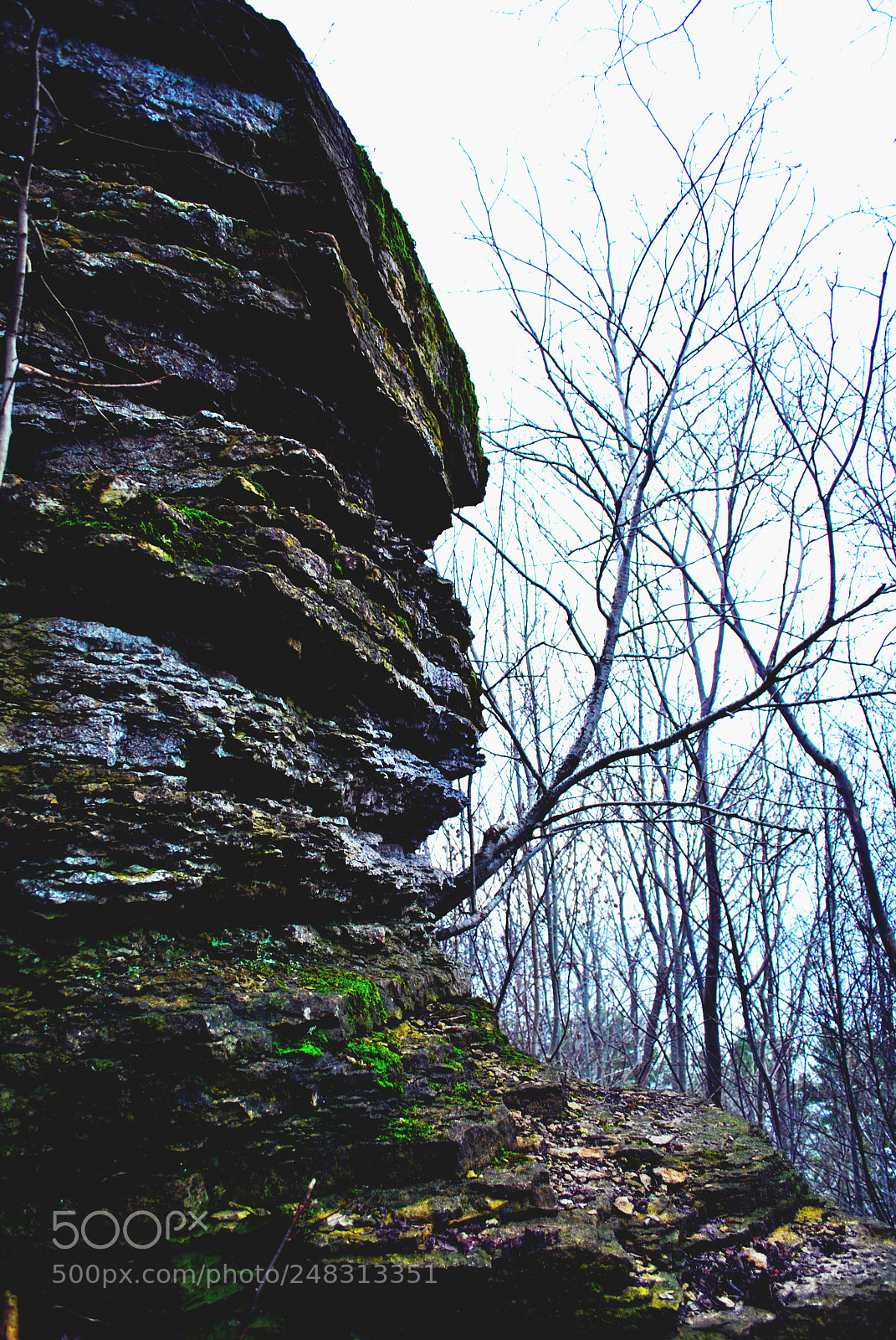 Nikon D3000 sample photo. Tallinn forests and nature photography