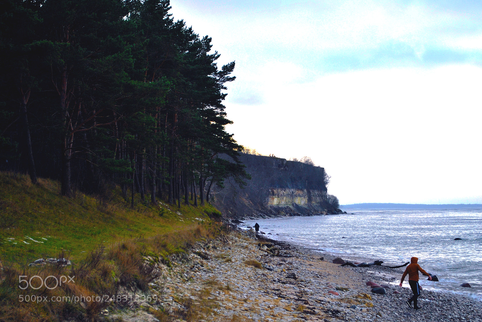 Nikon D3000 sample photo. Tallinn forests and nature photography