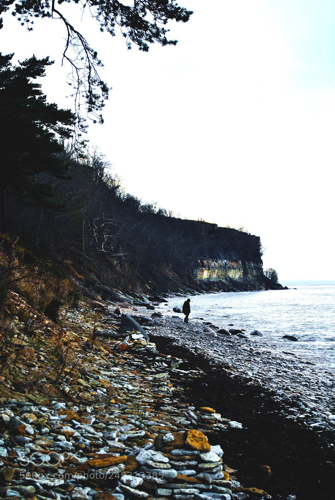 Nikon D3000 sample photo. Tallinn forests and nature photography