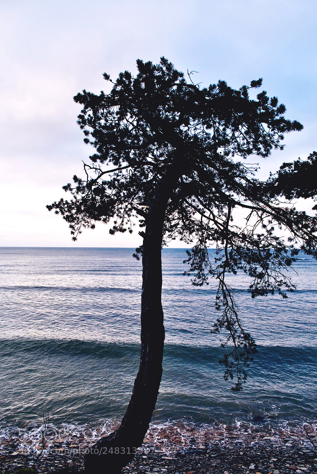 Nikon D3000 sample photo. Tallinn forests and nature photography