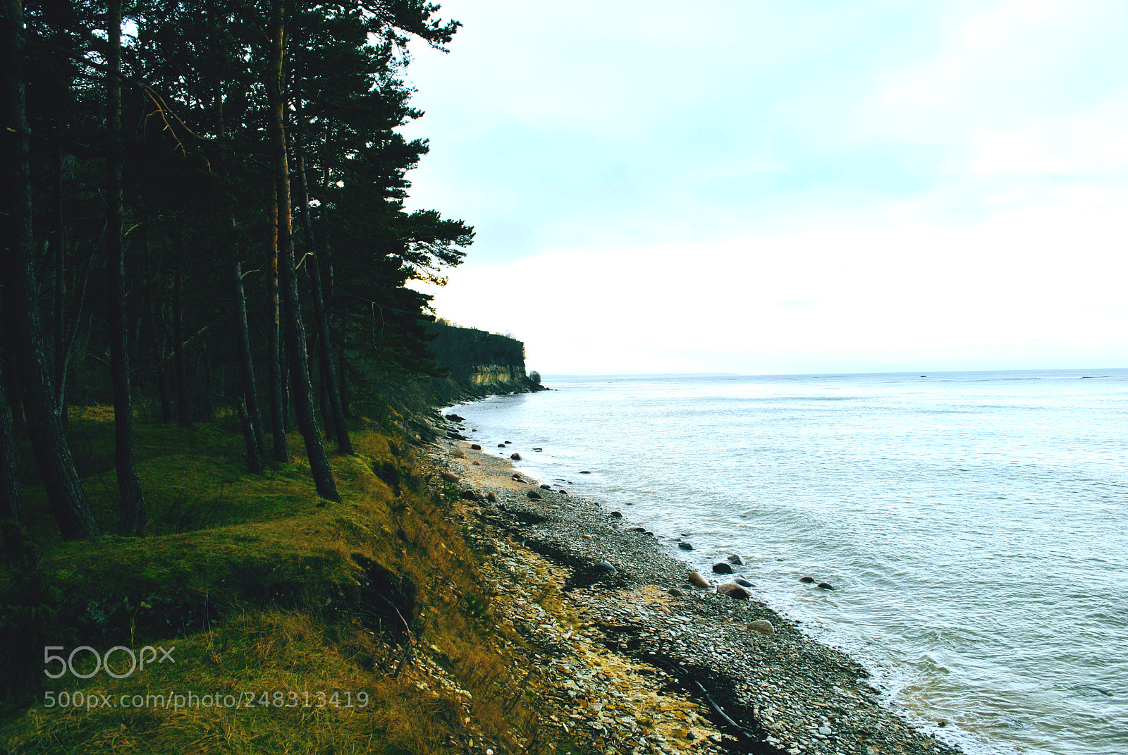 Nikon D3000 sample photo. Tallinn forests and nature photography