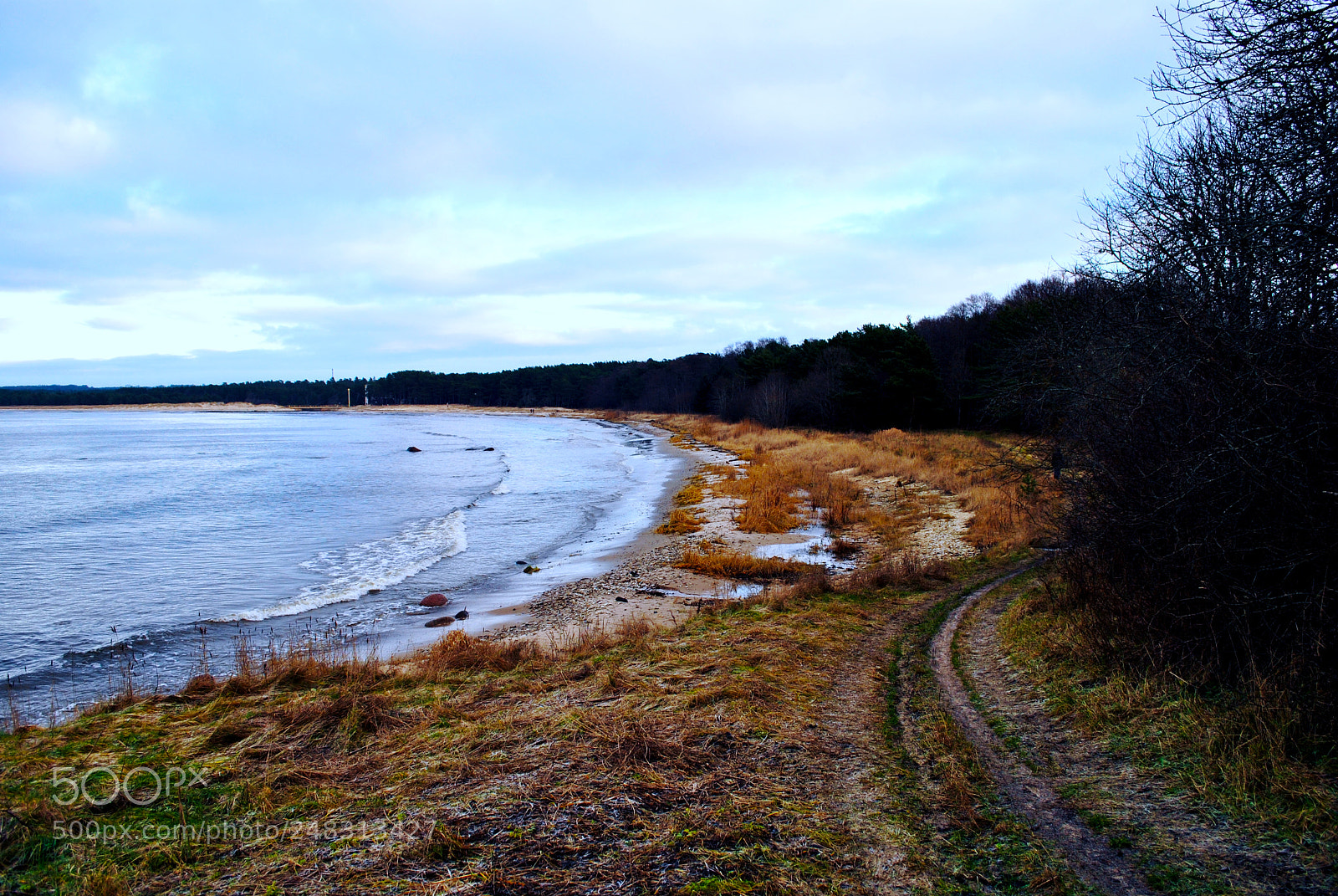 Nikon D3000 sample photo. Tallinn forests and nature photography
