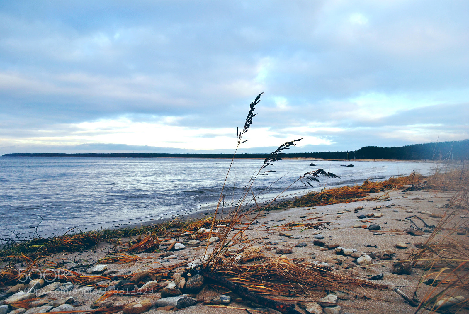 Nikon D3000 sample photo. Tallinn forests and nature photography