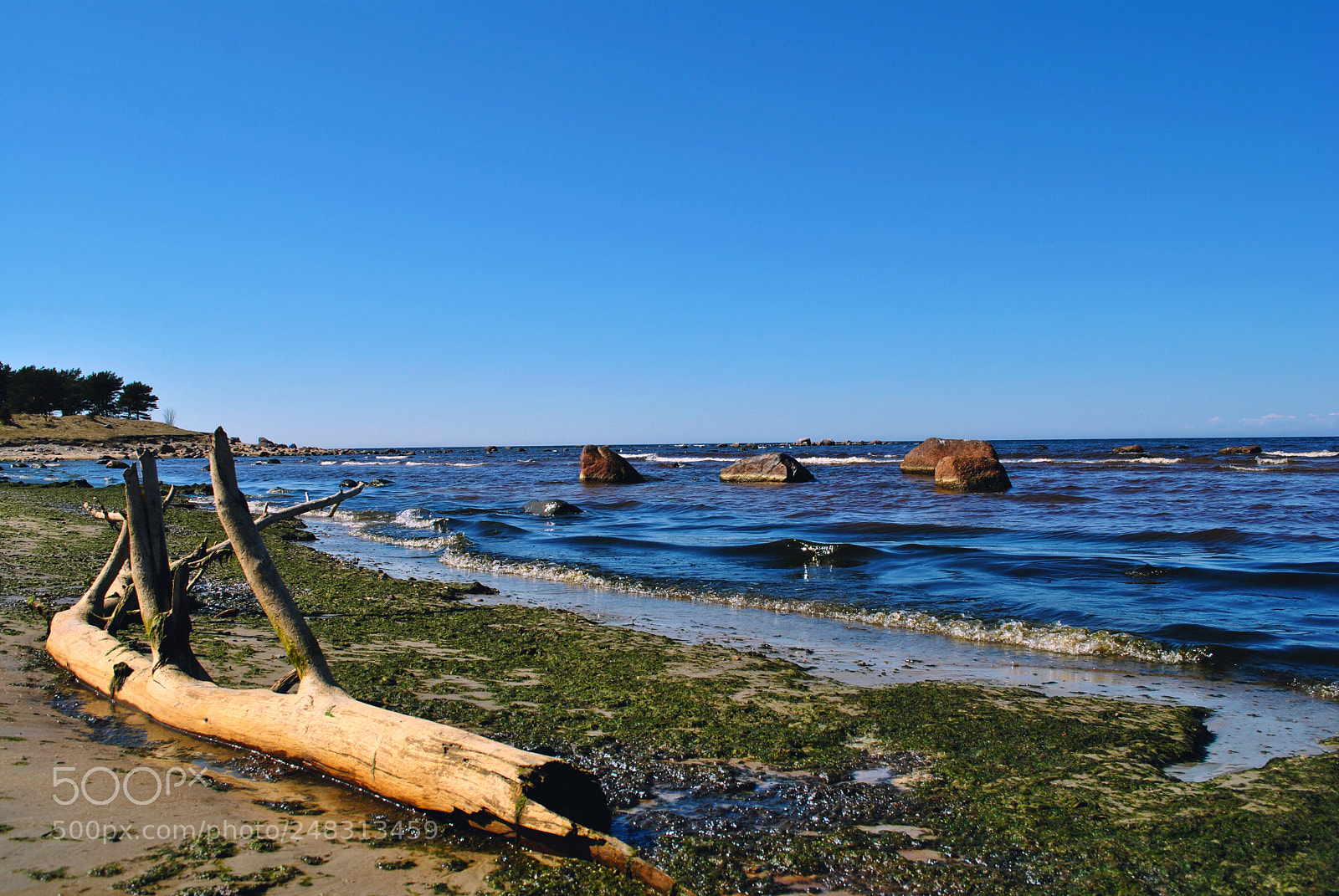 Nikon D3000 sample photo. Tallinn forests and nature photography