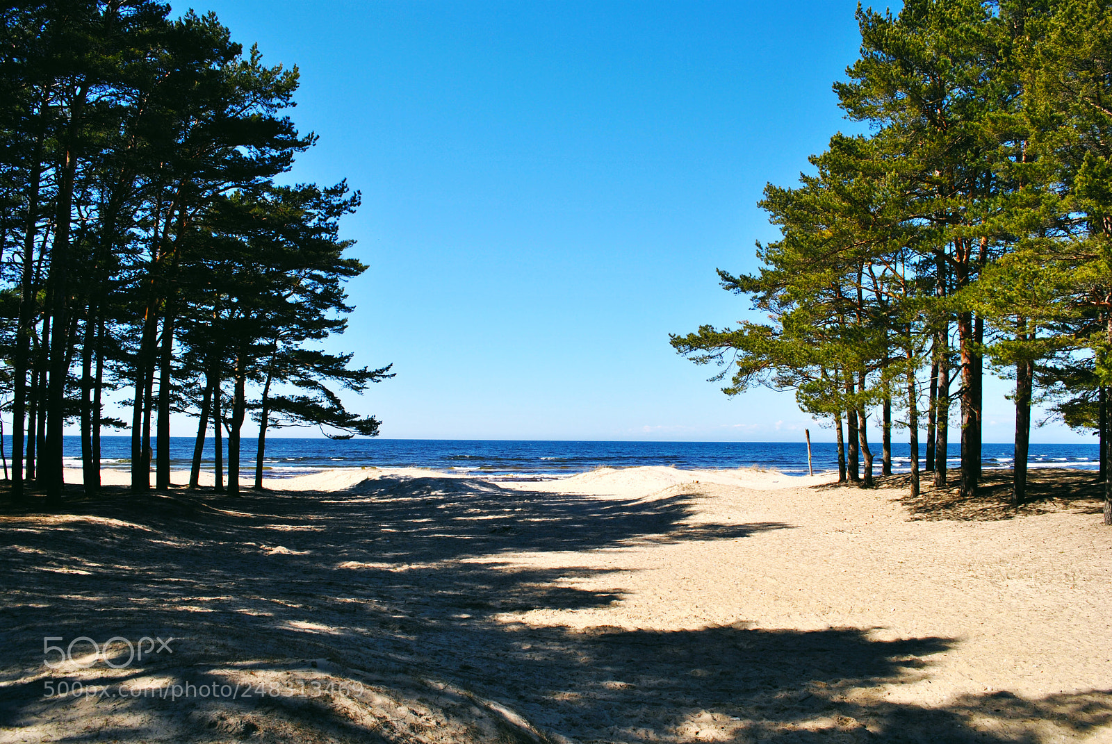 Nikon D3000 sample photo. Tallinn forests and nature photography
