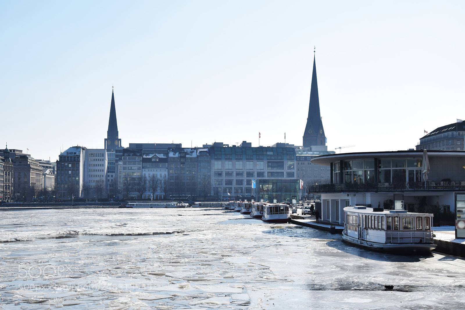 Nikon D5300 sample photo. Binnenalster - hamburg frozen photography
