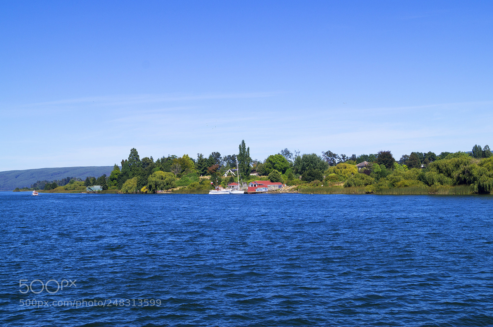 Sony SLT-A37 sample photo. Good day photography