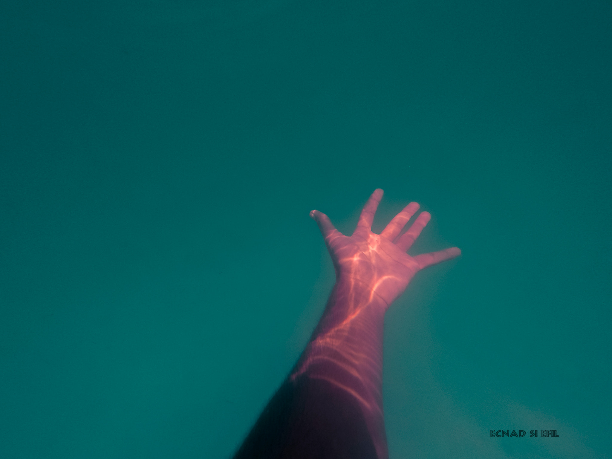 GoPro HERO4 Black sample photo. Shining nerves  photography