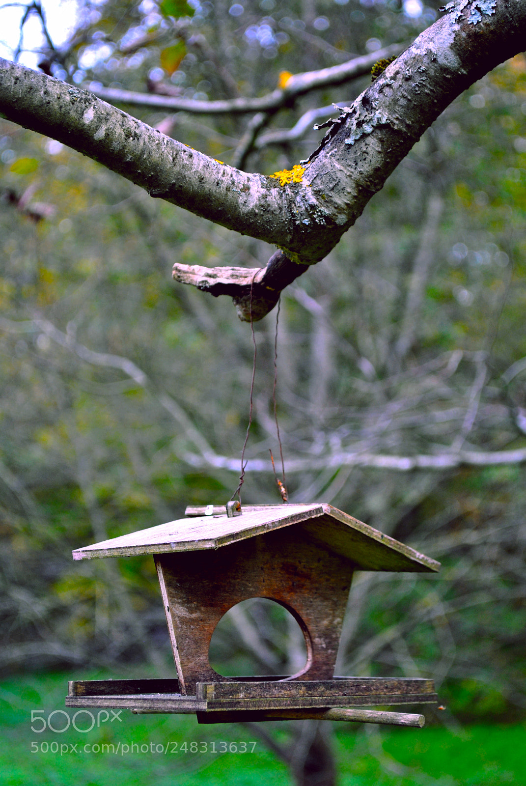 Nikon D3000 sample photo. Tallinn nature photography
