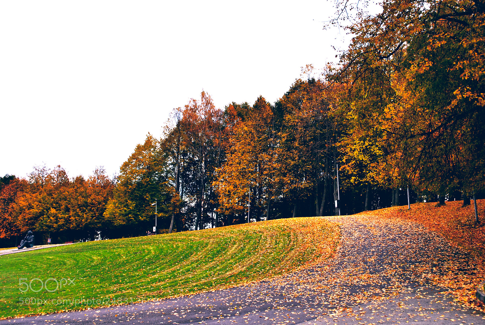 Nikon D3000 sample photo. Tallinn nature photography