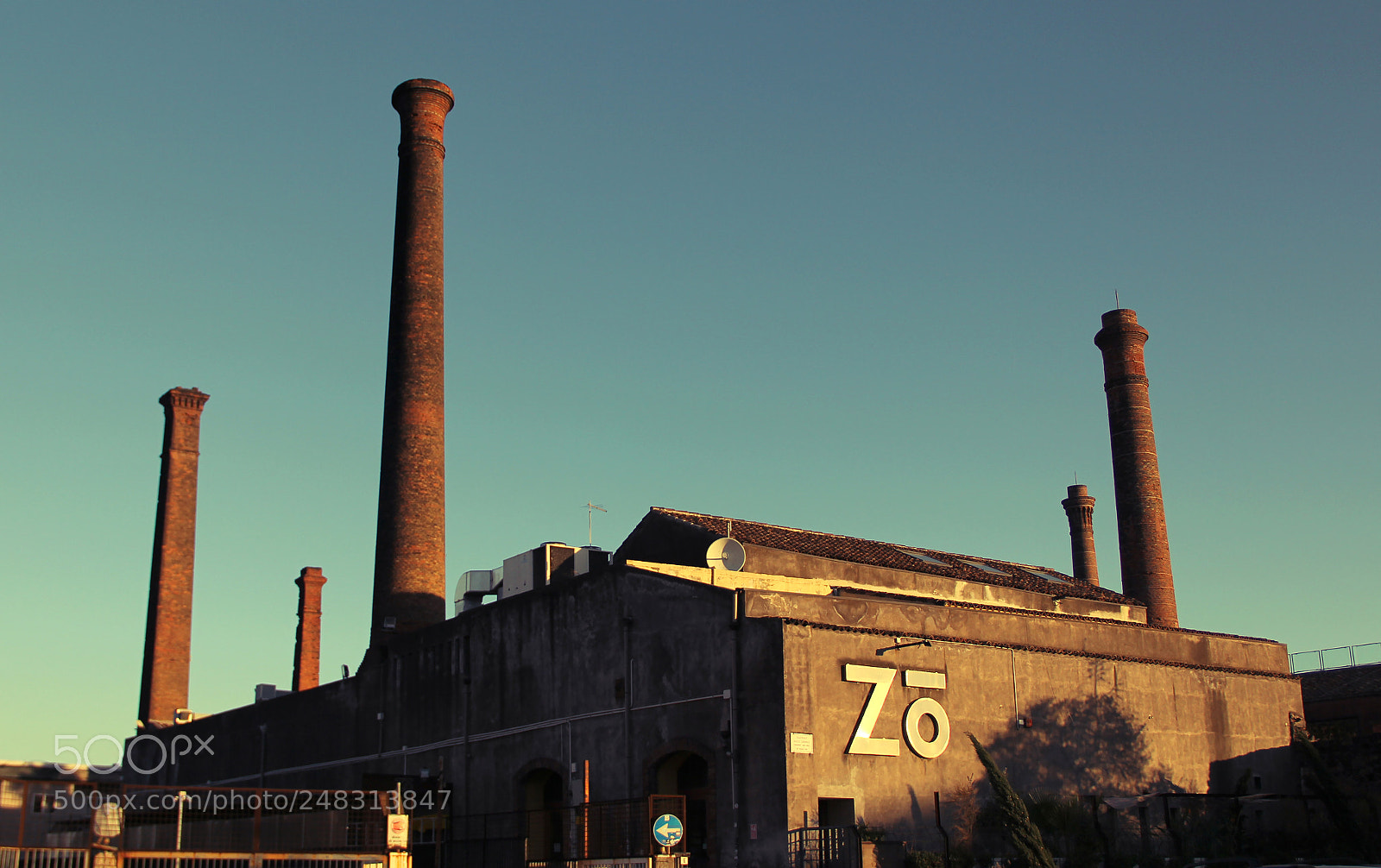 Canon EOS 60D sample photo. Zo photography