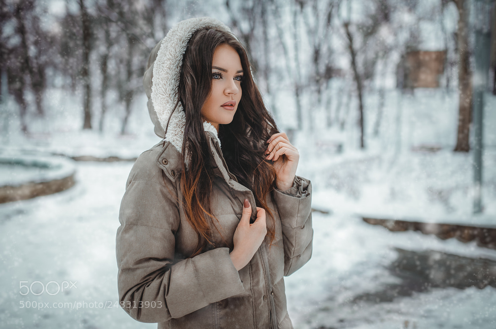 Nikon D850 sample photo. Winter beauty photography