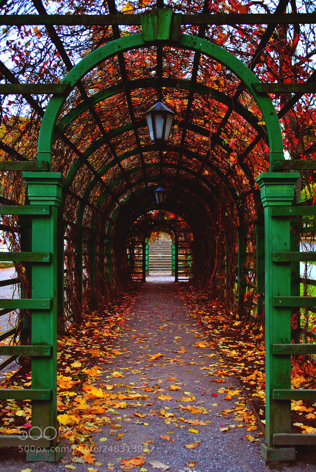 Nikon D3000 sample photo. Tallinn views photography
