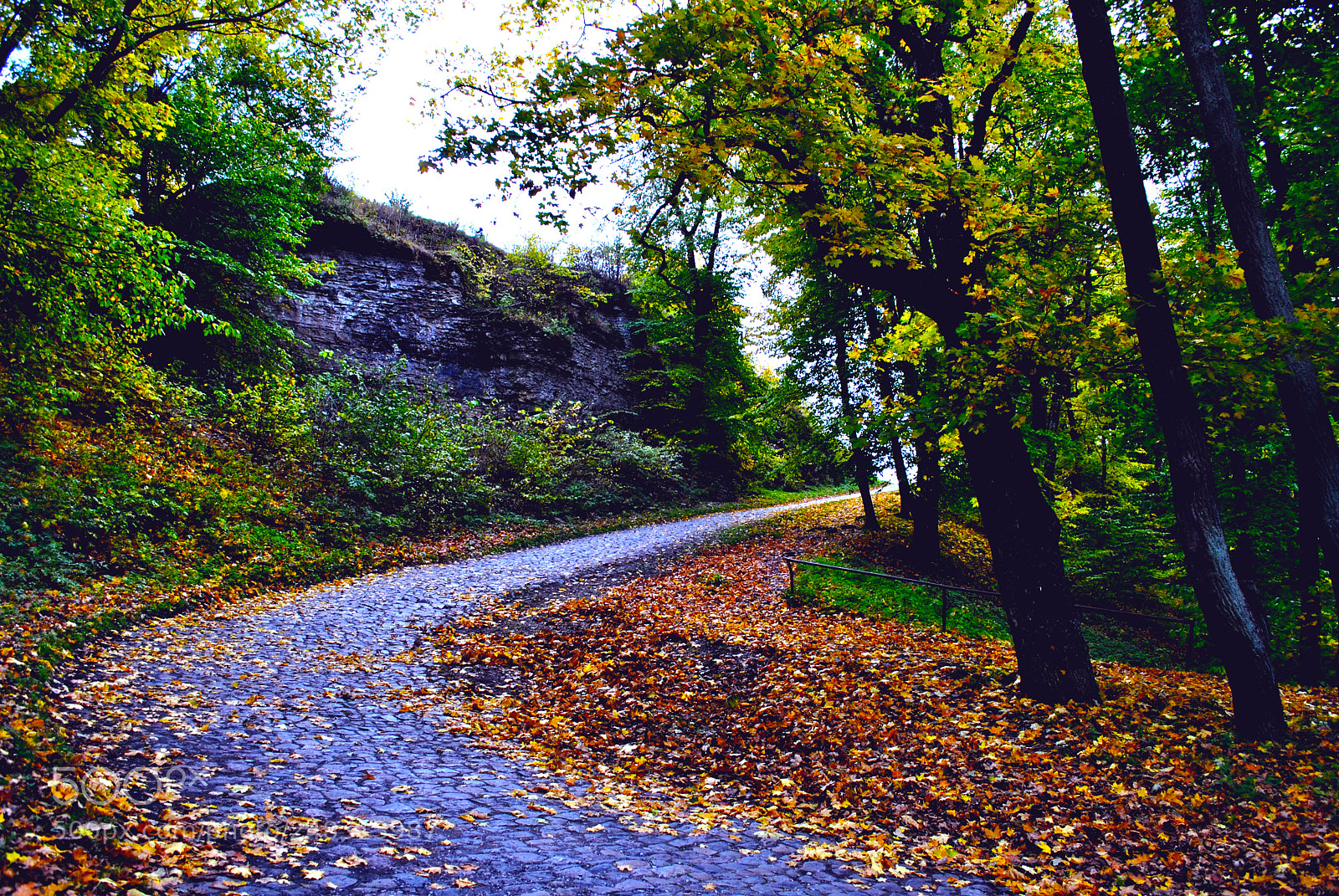 Nikon D3000 sample photo. Tallinn views photography