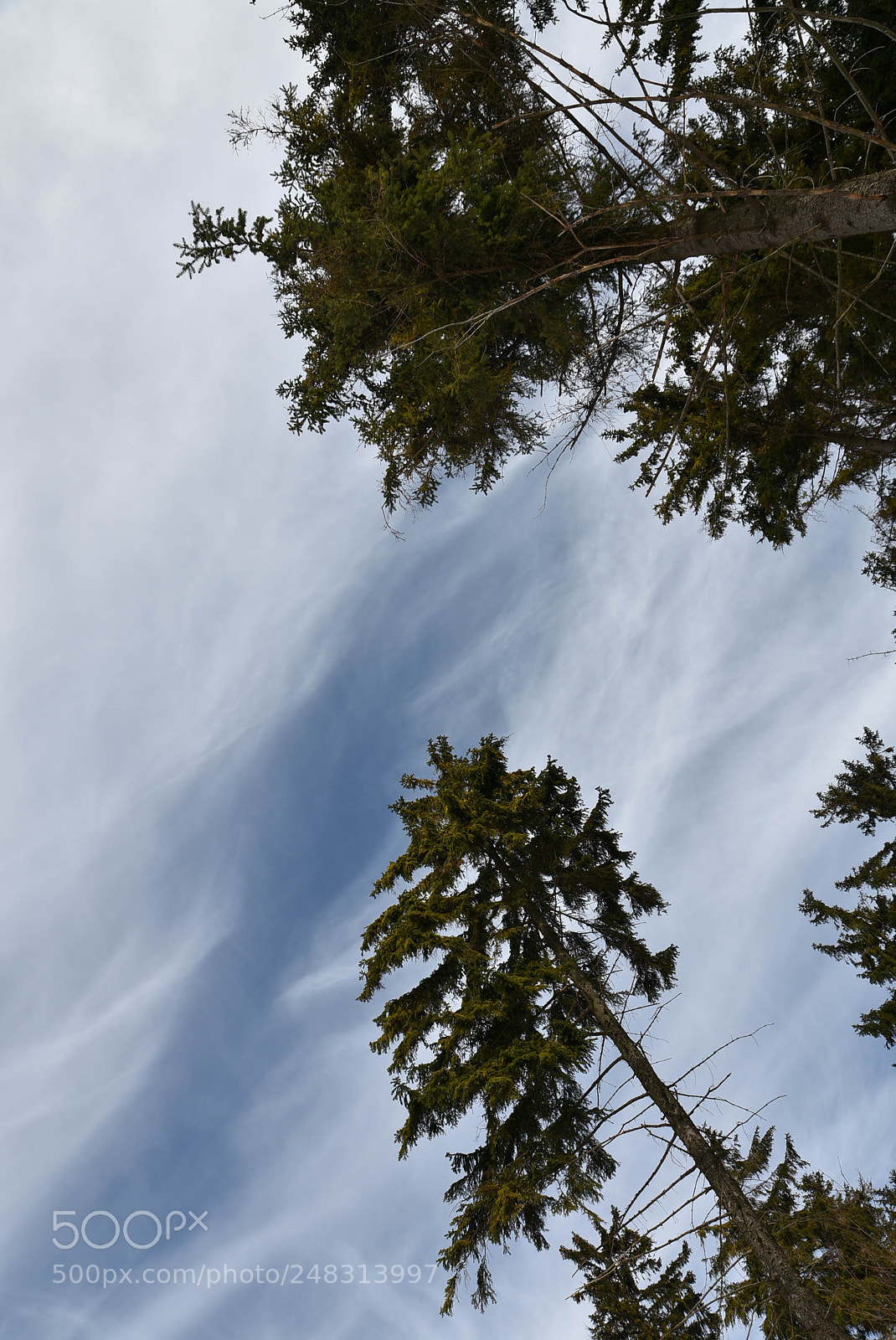 Nikon D7200 sample photo. On the sky photography