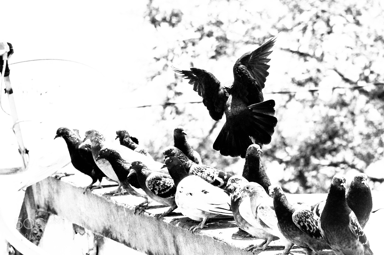 Canon EOS 550D (EOS Rebel T2i / EOS Kiss X4) sample photo. With the fam photography