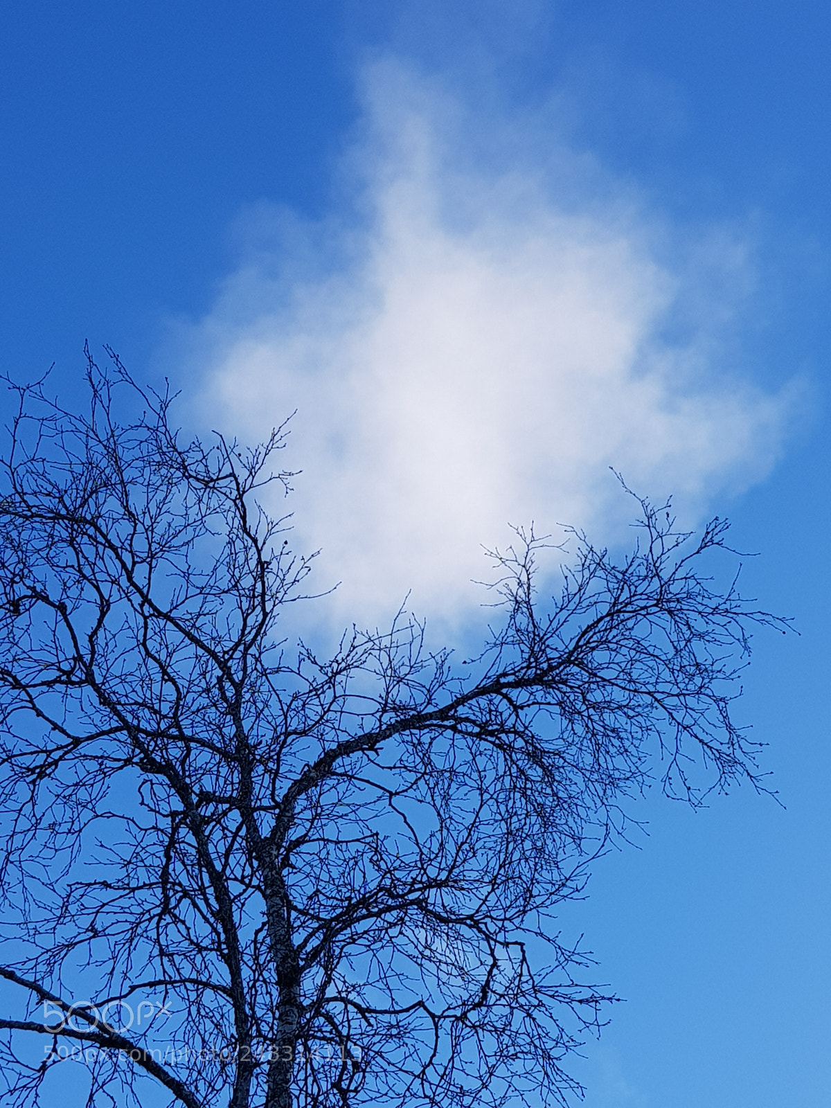 Samsung Galaxy S8 sample photo. Blue skies .... photography