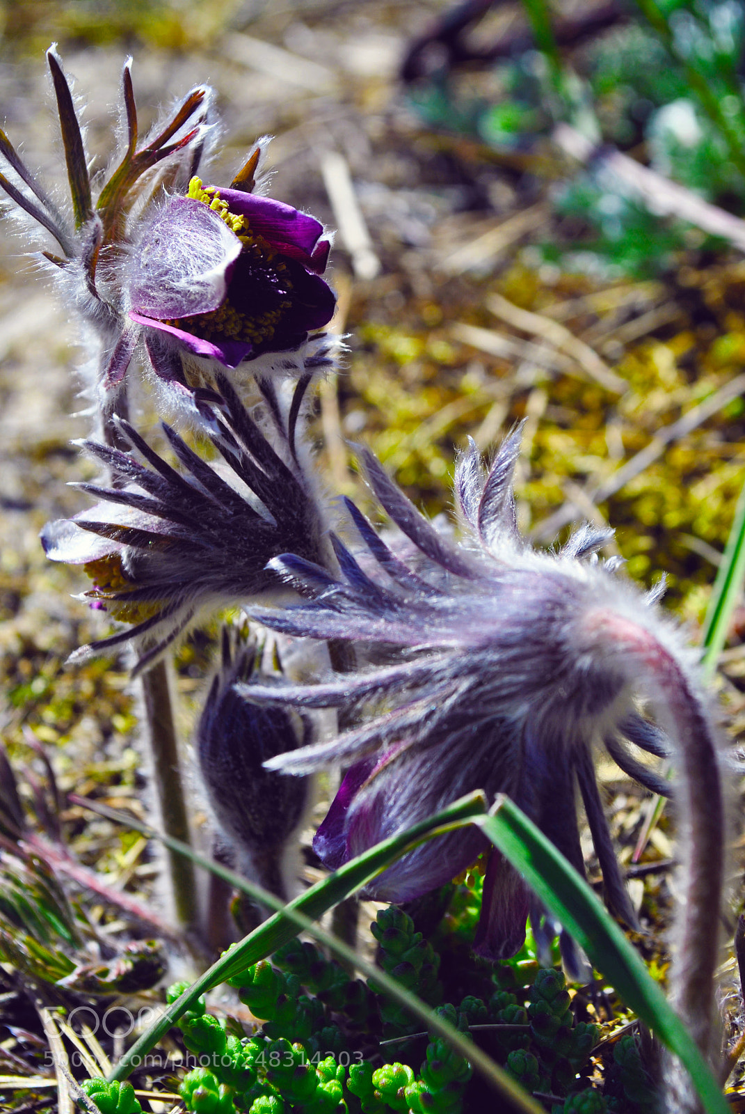 Nikon D3000 sample photo. Riga views photography