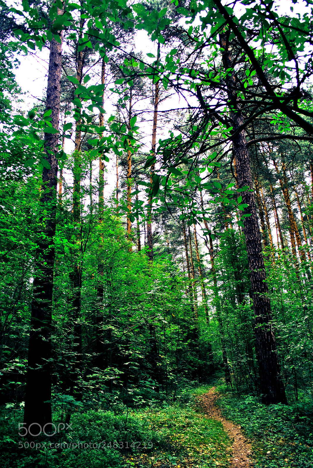 Nikon D3000 sample photo. Riga views photography