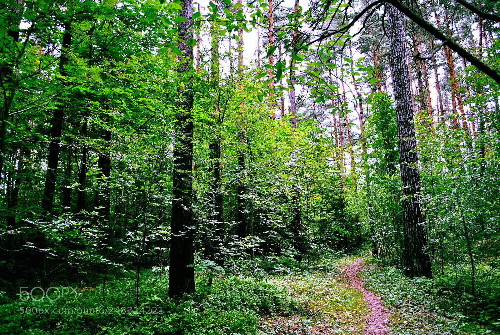 Nikon D3000 sample photo. Riga views photography