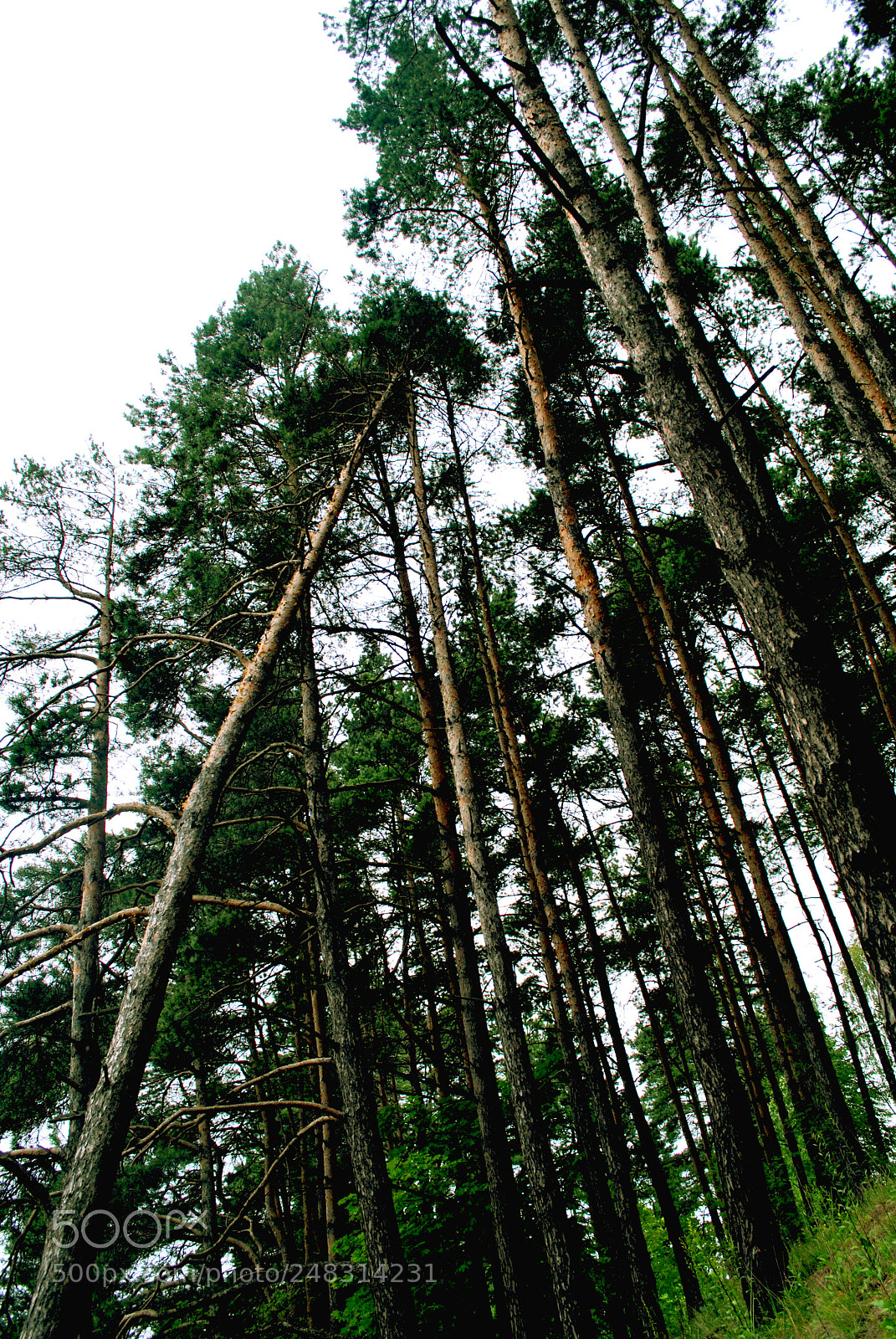 Nikon D3000 sample photo. Riga views photography