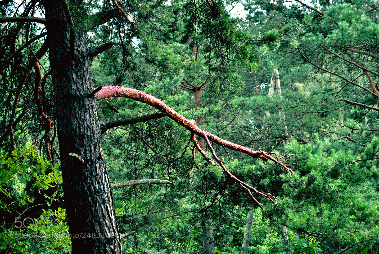 Nikon D3000 sample photo. Riga views photography