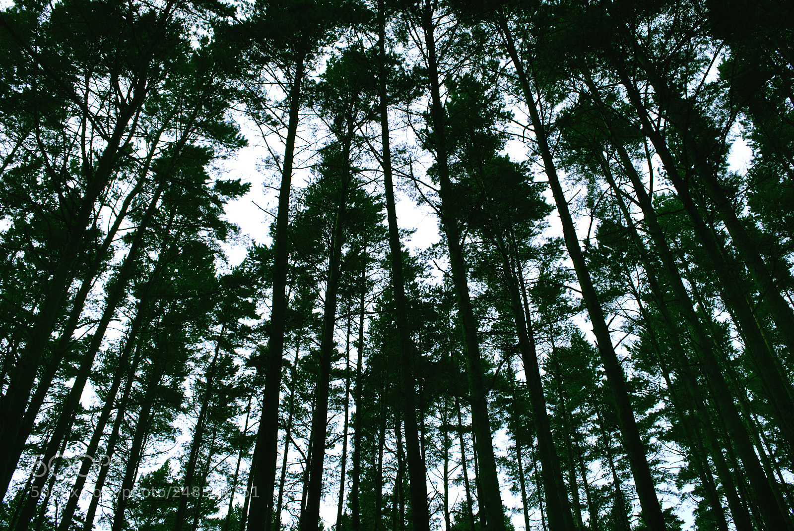 Nikon D3000 sample photo. Riga views photography
