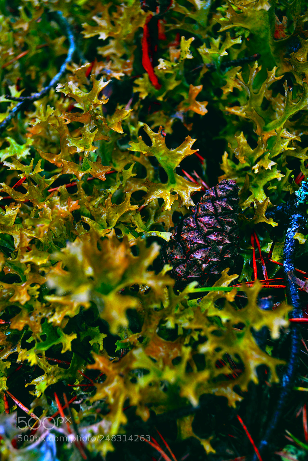 Nikon D3000 sample photo. Riga views photography