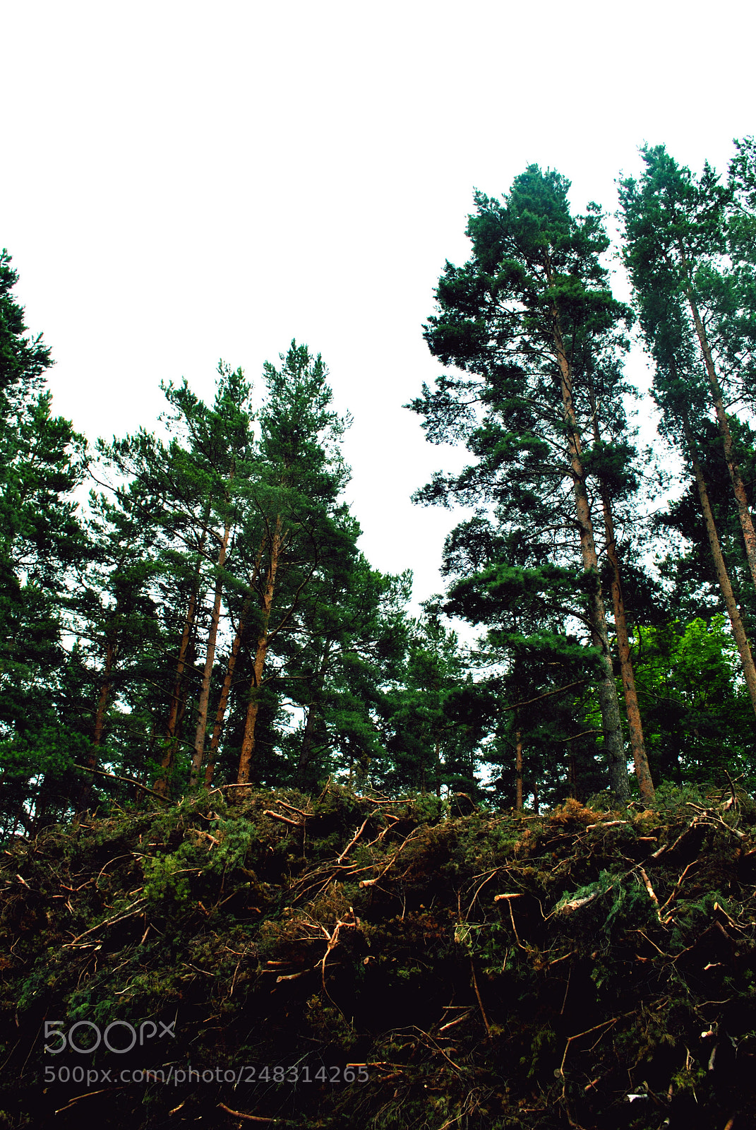 Nikon D3000 sample photo. Riga views photography