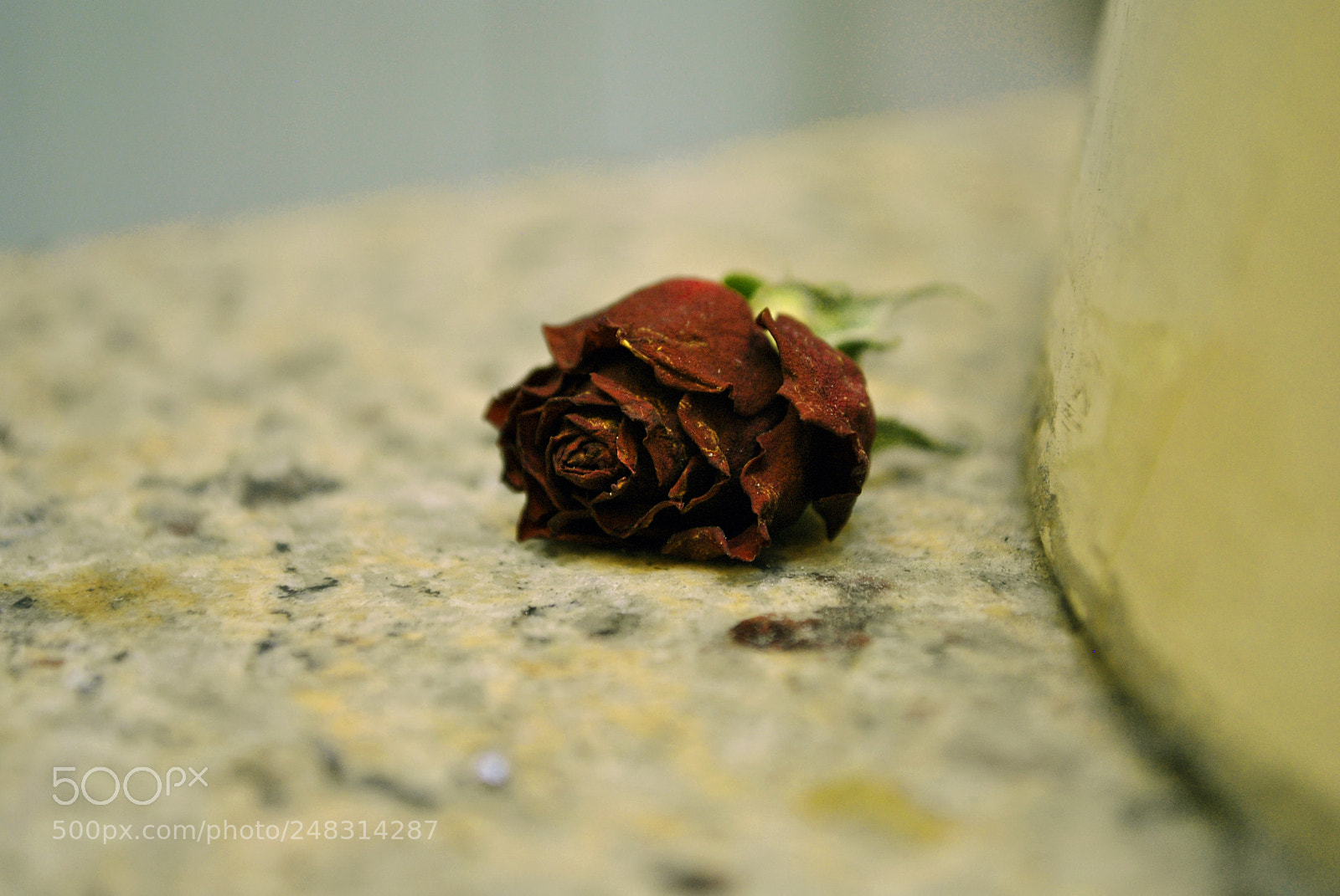Nikon D3000 sample photo. Riga views photography