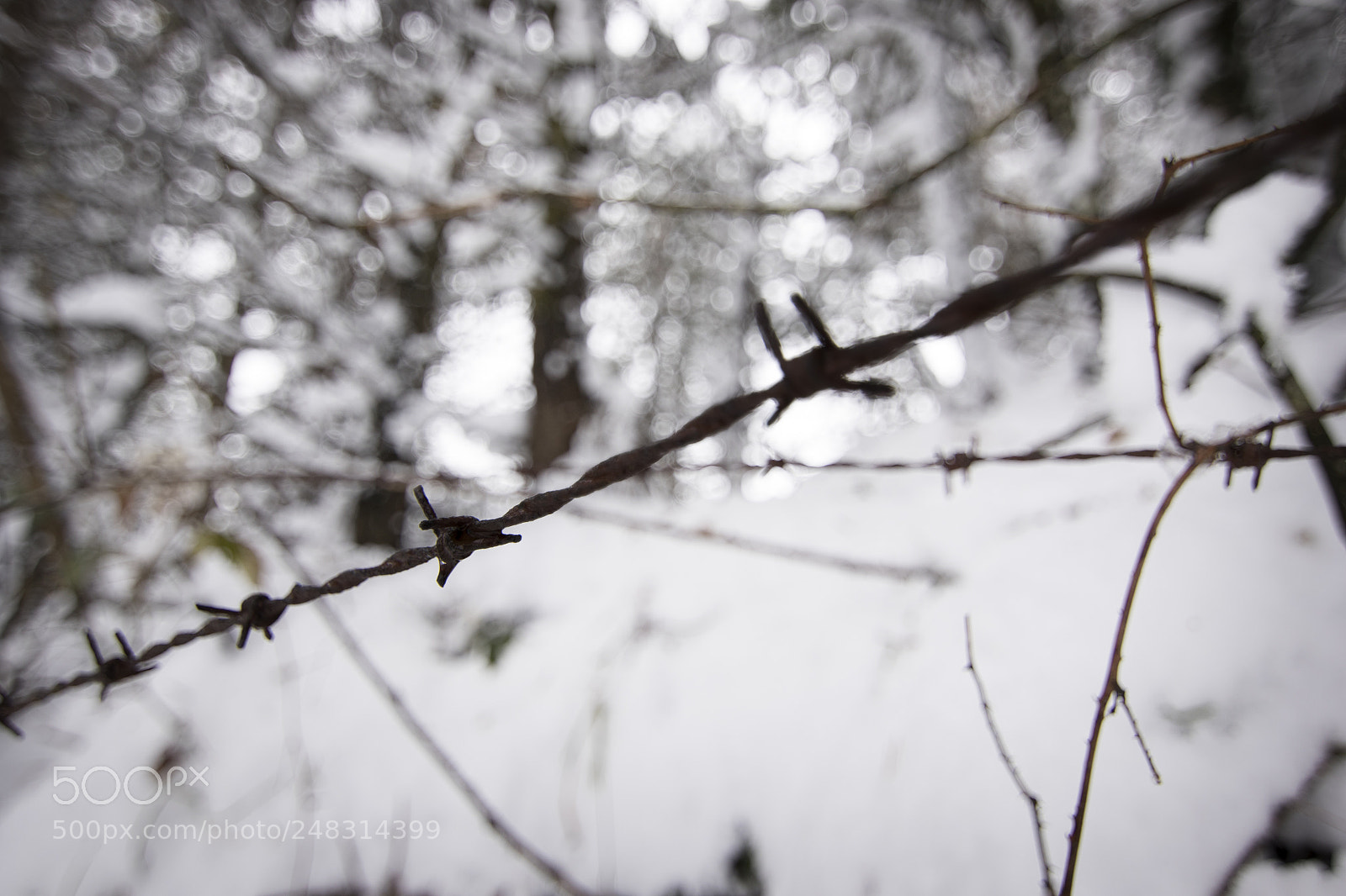 Canon EOS 7D Mark II sample photo. Cross photography
