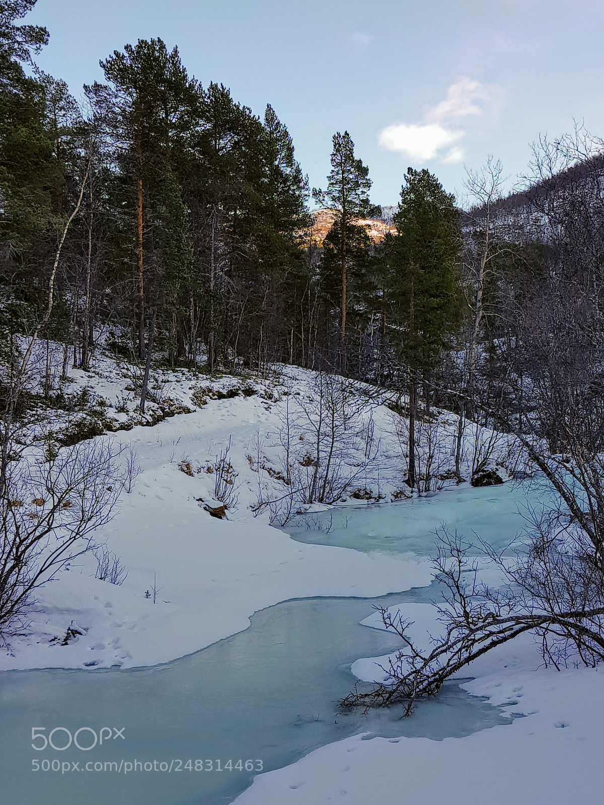Samsung Galaxy S8 sample photo. By the mountain river photography
