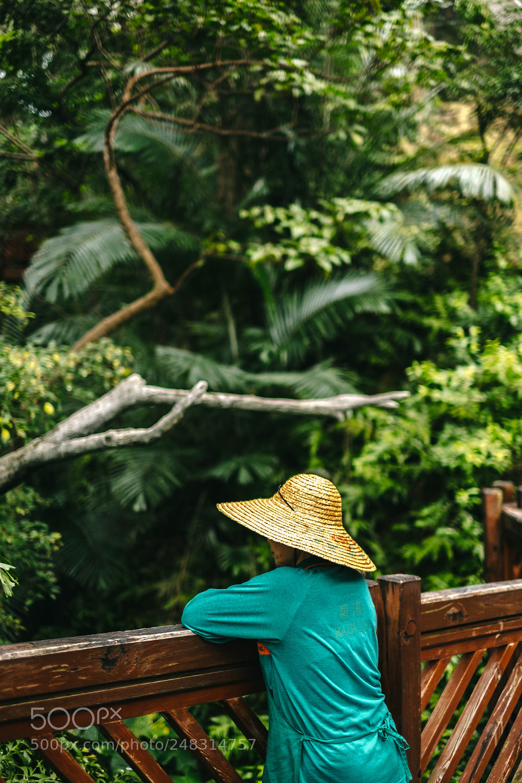 Fujifilm X-T1 sample photo. Hong kong photography