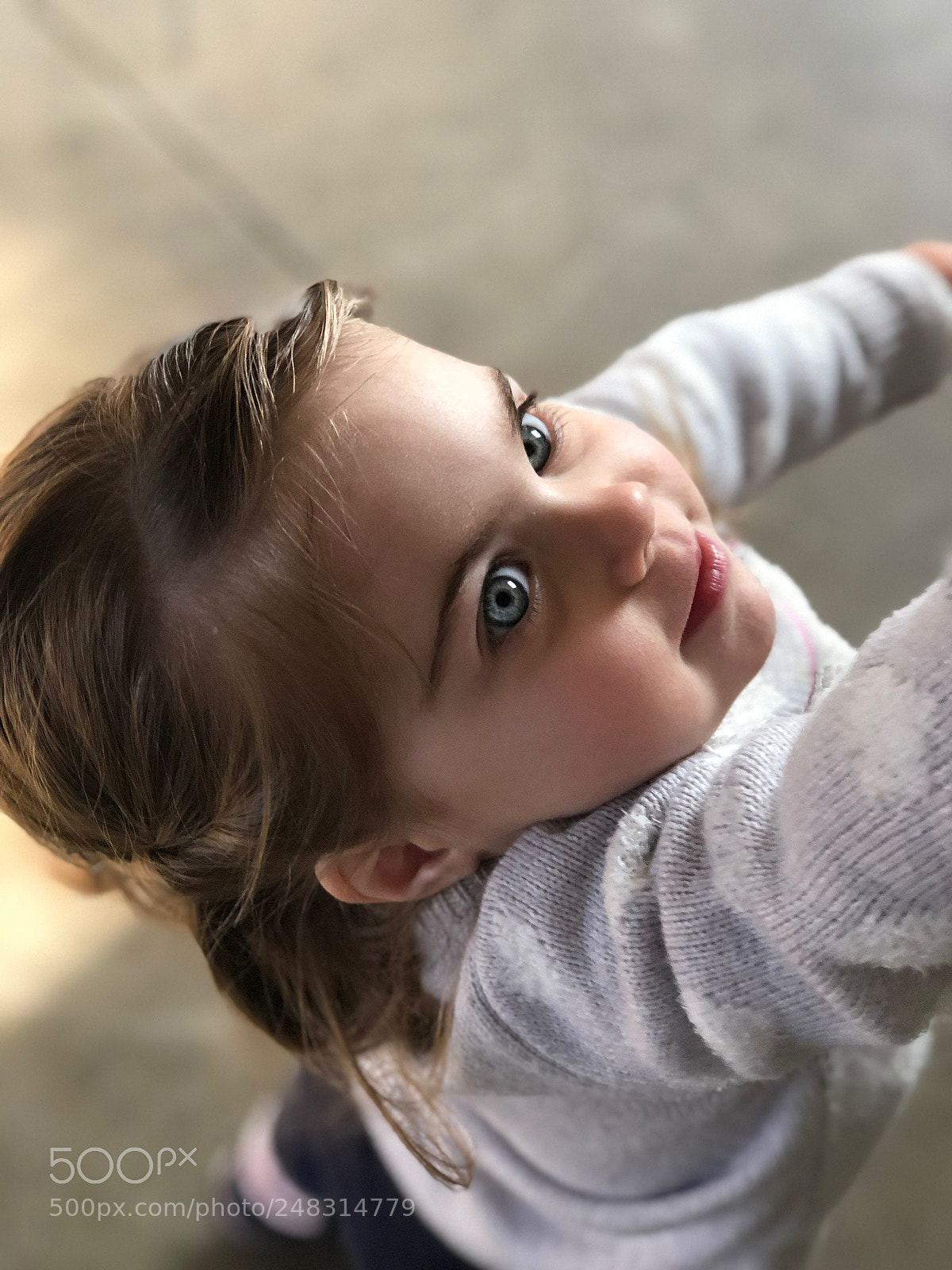 Apple iPhone 8 Plus sample photo. Untitled photography
