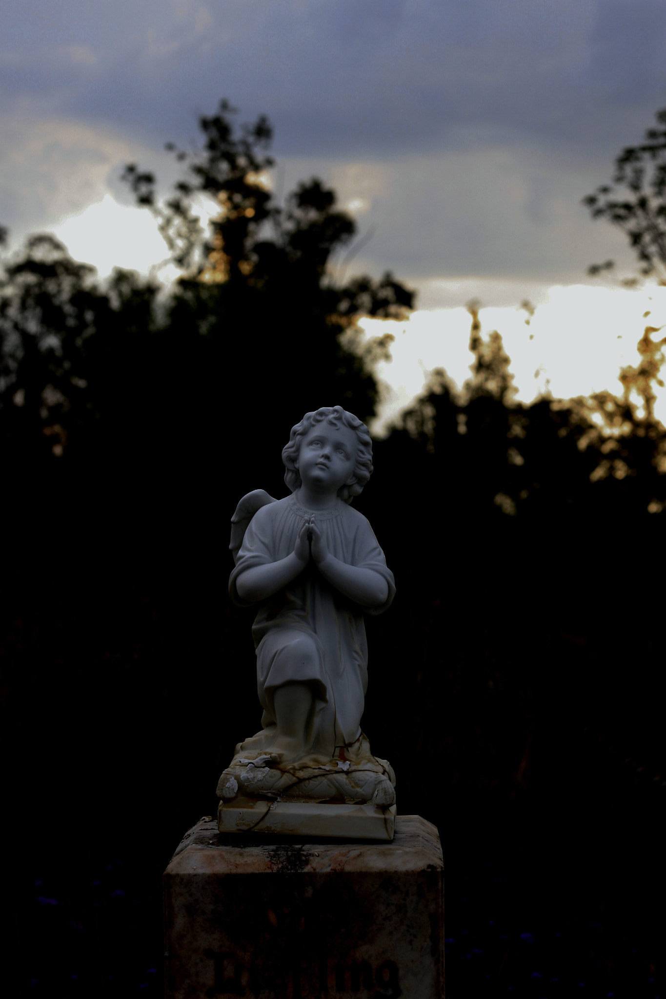 Canon EOS 500D (EOS Rebel T1i / EOS Kiss X3) sample photo. Say a little prayer photography