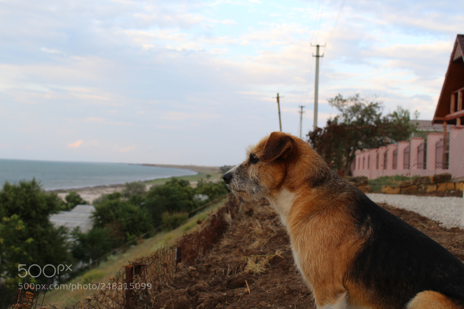 Canon EF-S 18-55mm F3.5-5.6 III sample photo. Img photography